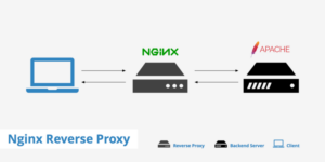 Nginx sebagai Reverse Proxy untuk Apache